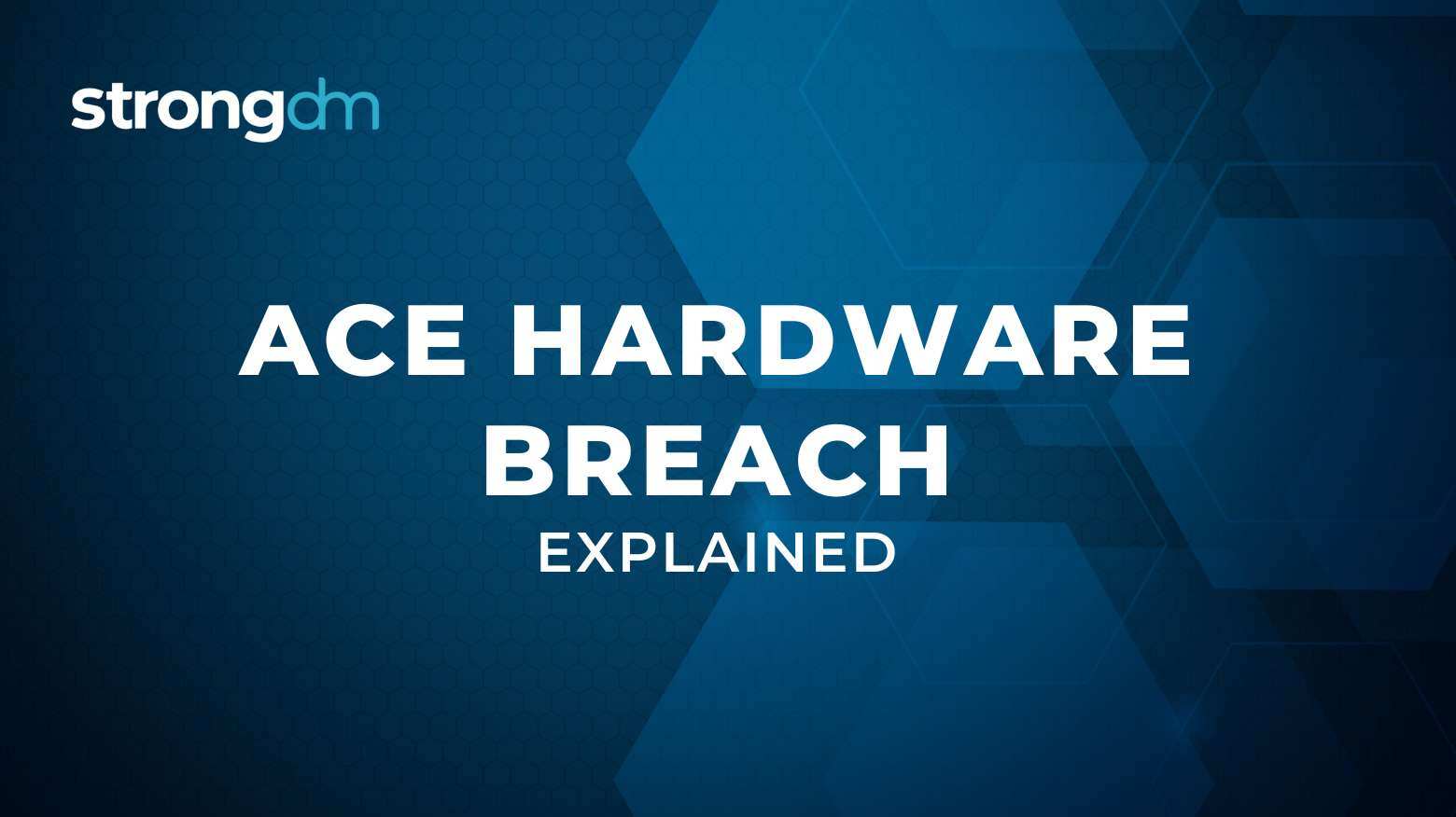 Ace Hardware Data Breach: What Happened and How to Prevent It