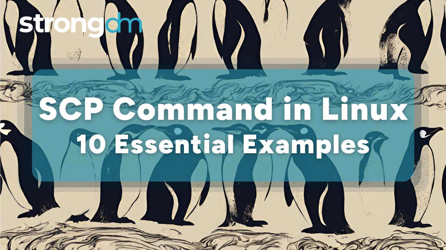 SCP Command in Linux: 10 Essential Examples